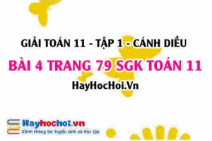 Giải bài 4 trang 79 Toán 11 tập 1 SGK Cánh Diều